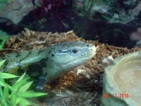 DSC04077.jpg