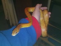 26062010168.jpg
