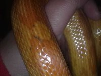 26062010169.jpg