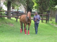 Canon Vel and Poochie 250109 006.jpg