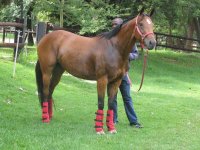 Canon Vel and Poochie 250109 008.jpg