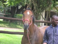 Canon Vel and Poochie 250109 009.jpg