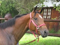 Canon Vel and Poochie 250109 014.jpg