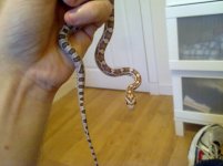 11102010053.jpg