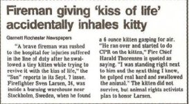 fireman eats kitten.jpg
