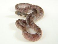 granite-m2.jpg granite-m2.jpg