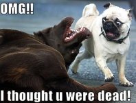I thought you were dead.JPG