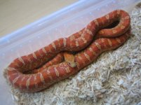 matrixhypo3.jpg