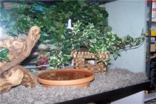 New hide.jpg