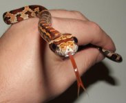111405 roger (9).JPG