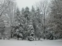 DSCN1061.JPG