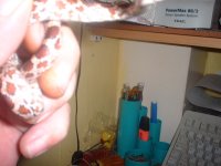 dscf0072.jpg