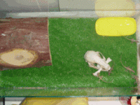dsc00480.gif