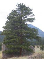 IMG_2897.JPG