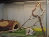 dsc00482.jpg
