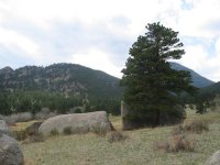IMG_2898.JPG