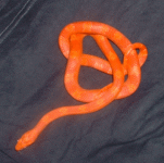 dscf0026.gif