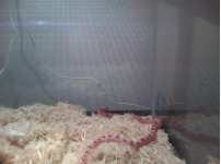 fire 3 after shed.jpg