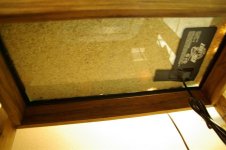 IMGP6668 (Medium).JPG
