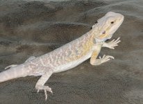 P1270413.JPG P1270413.JPG