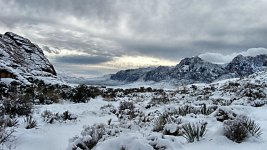 IMG_3070.jpg