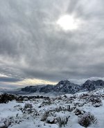 IMG_3071.jpg