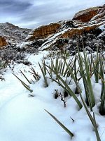 IMG_3073.jpg