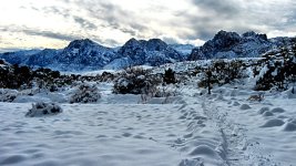 IMG_3112.jpg