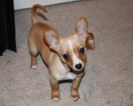 IMG_0551a.JPG
