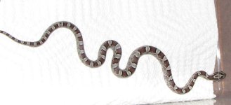 '09 granite het stripe.jpg