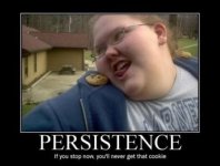 Persistence.jpg