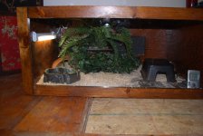 new blood file_040.JPG