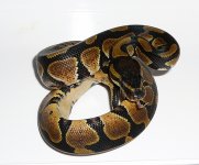 P1270108.JPG P1270108.JPG