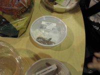 ReptiShow082110076.jpg