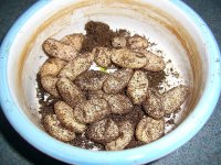 Slugs Batch Three 001.jpg