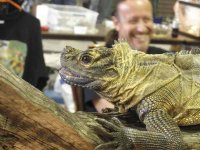 ReptiShow082210269.jpg