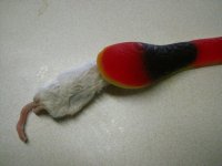 IMG_1379.JPG