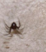 DSC03583.JPG
