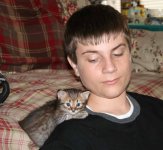 shoulderkitten2.JPG