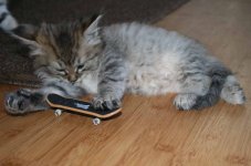 Chanchotechdeck.JPG