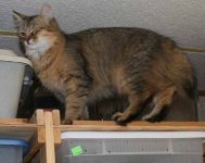 Helper5.JPG
