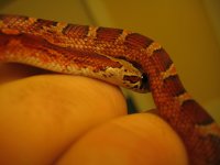 IMG_2540.JPG