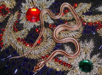 Zora Arrives 030cr.jpg