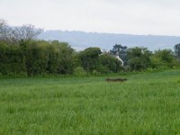 10a.JPG