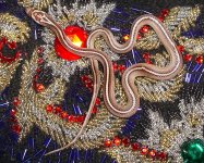 Zora Arrives 031cr.jpg