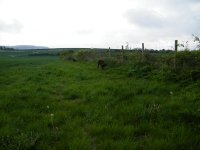 11a.JPG