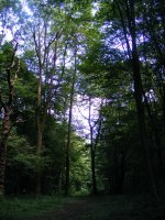 11a.JPG