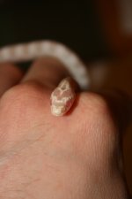 IMG_0693.jpg
