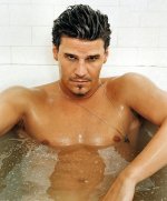500full-david-boreanaz.jpg