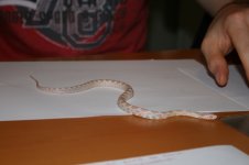 IMG_0709.jpg